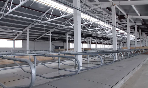 Vrijwillige stoppersregeling veehouderij: wat betekent...