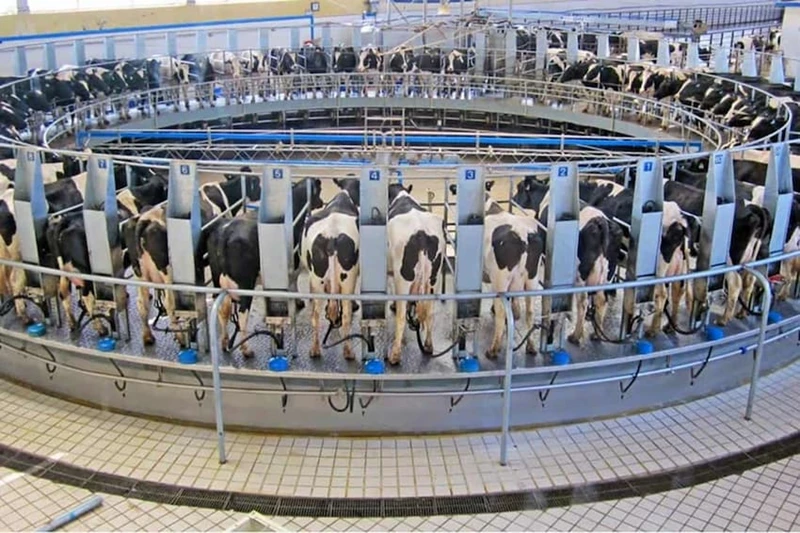 Reductie broeikasgassen en economie melkveehouderij