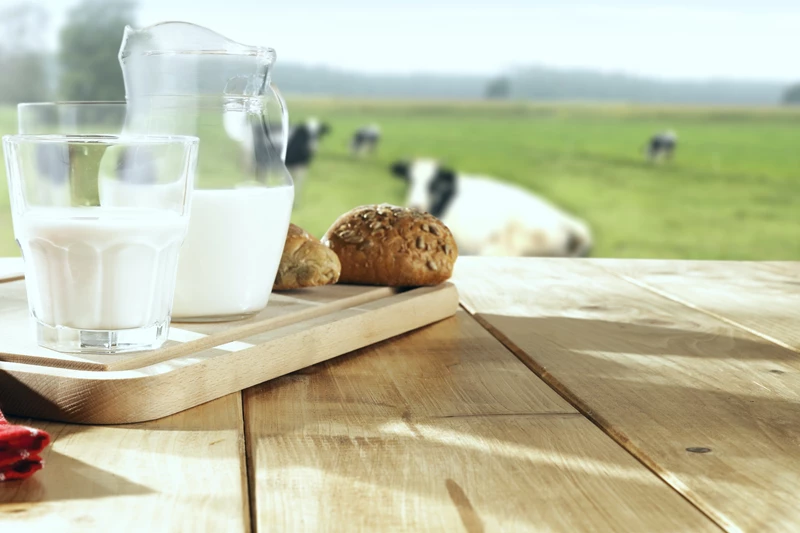 Bedrijfsresultaten melkvee 2020 - kritieke opbrengstprijs melk bijna 37,50 cent
