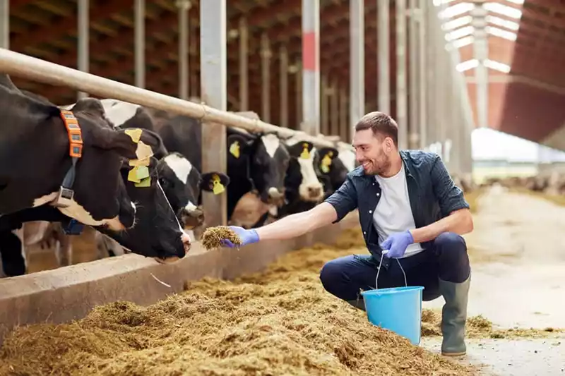 Dure kunstmest en duur krachtvoer: Hoe verder?