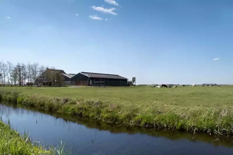 Publicatie stoppersregelingen voor veehouders