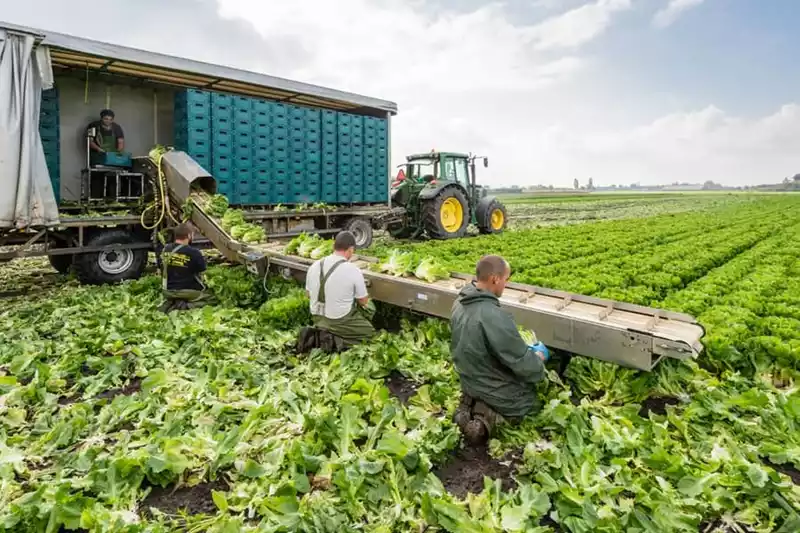 Werkgevers opgelet: nieuwe wetgeving in aantocht!