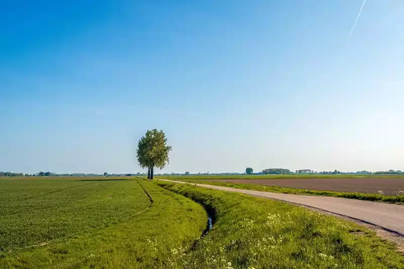 Dit is wat we voorlopig weten over de stikstof aanpak