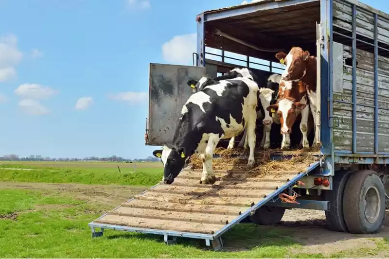 Samen werken of echte samenwerking?