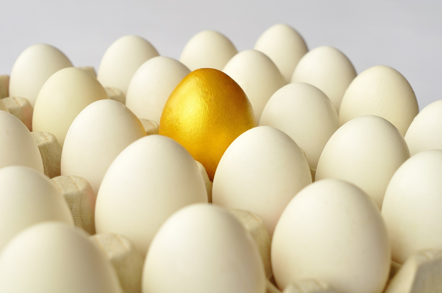 Groei in specialisatie