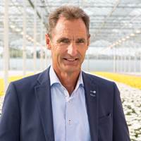 René van Kester; R&A van Kester Chrysantenkwekerij