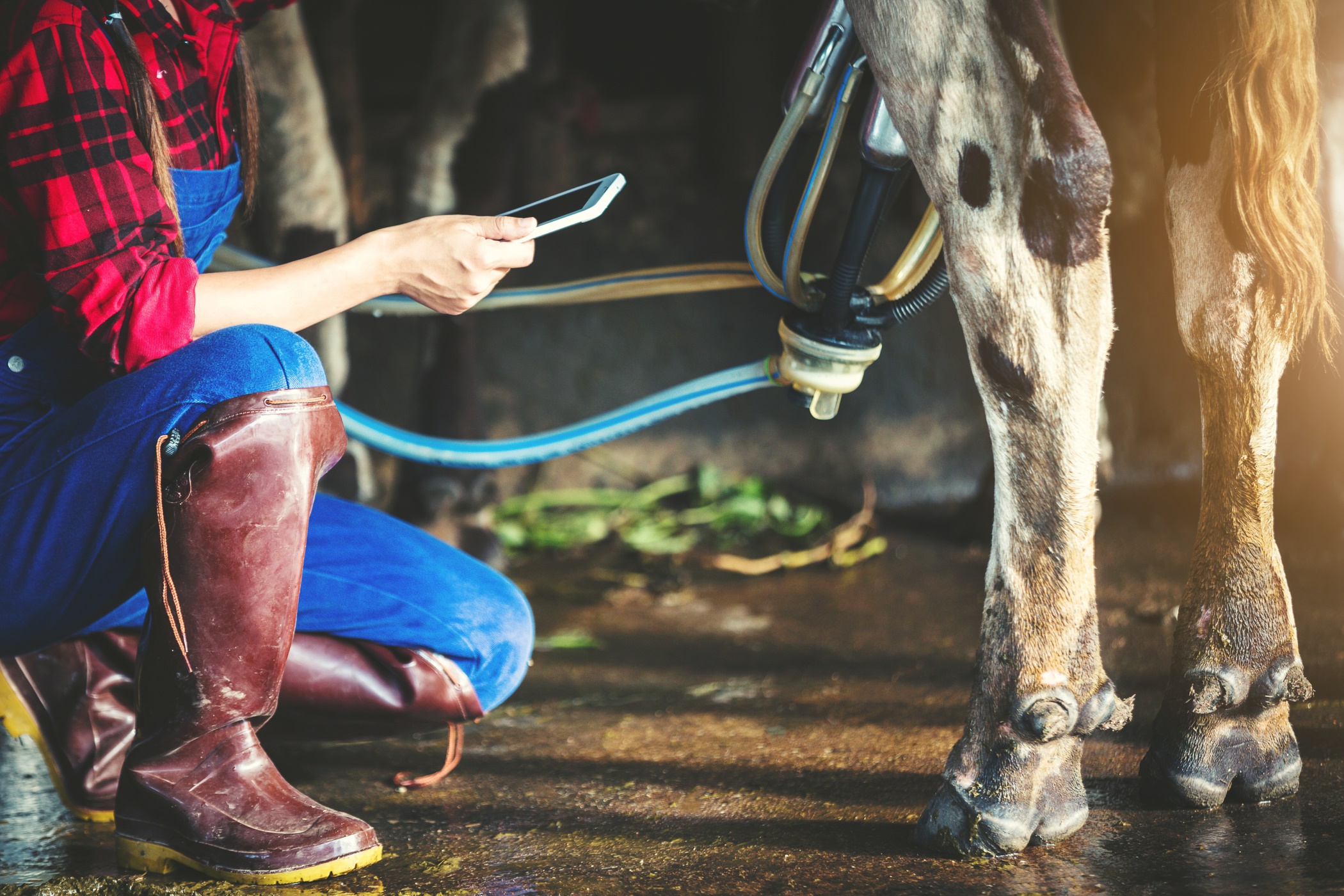 Duurzaamheidsrapportage