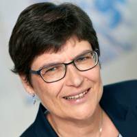 Monique van der Meij, Directeur subsidie advies