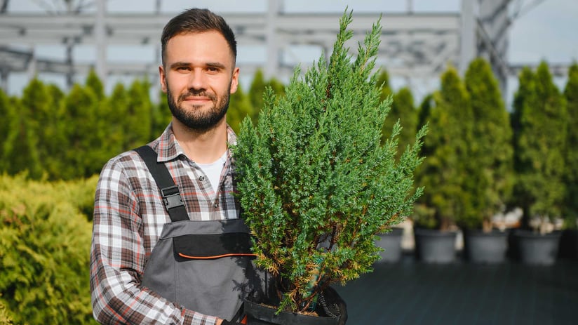 Boomkwekerij-ondernemen-in-een-groene-toekomst