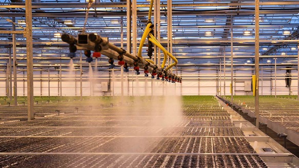 Sprinkler Tuinbouw