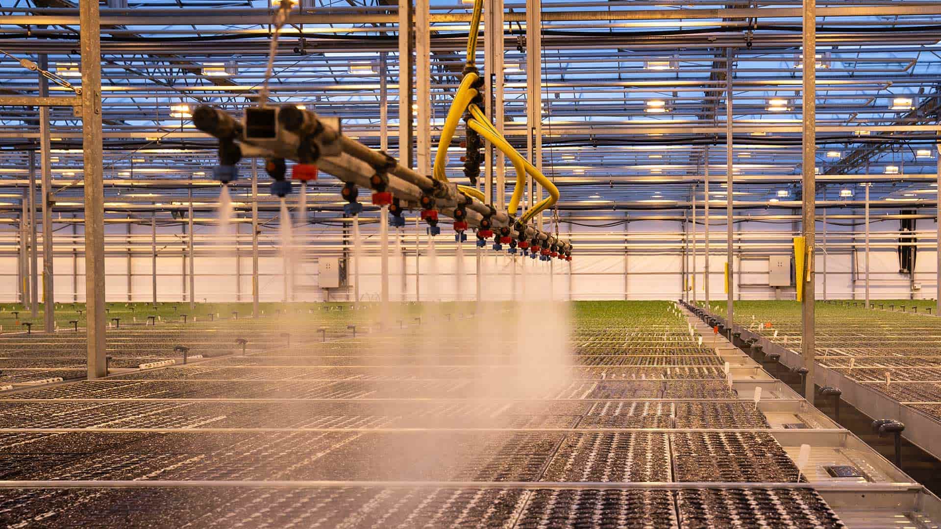 Sprinkler Tuinbouw