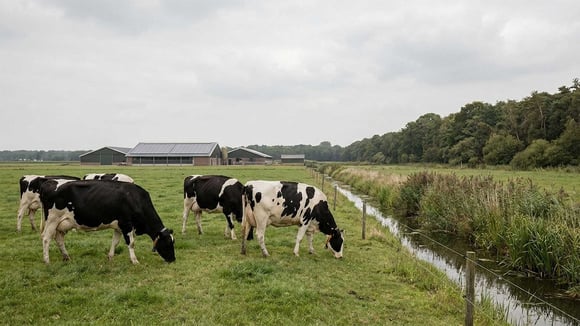 Overweegt u te stoppen als veehouder? Oriënteer u op de Vbr. 