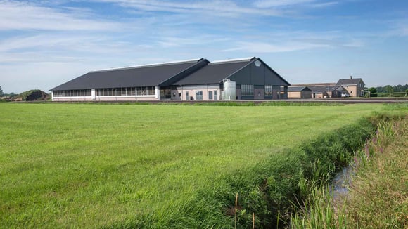 Moderne veehouderijstal