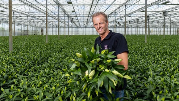 Ruud met bos lelies