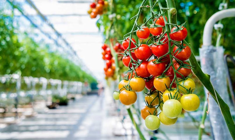 Op-25-en-26-februari-is-Flynth-aanwezig-op-HortiContact