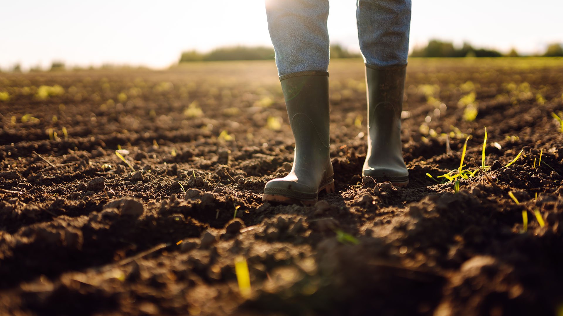 Rapport Agri: inzicht in een sector onder druk
