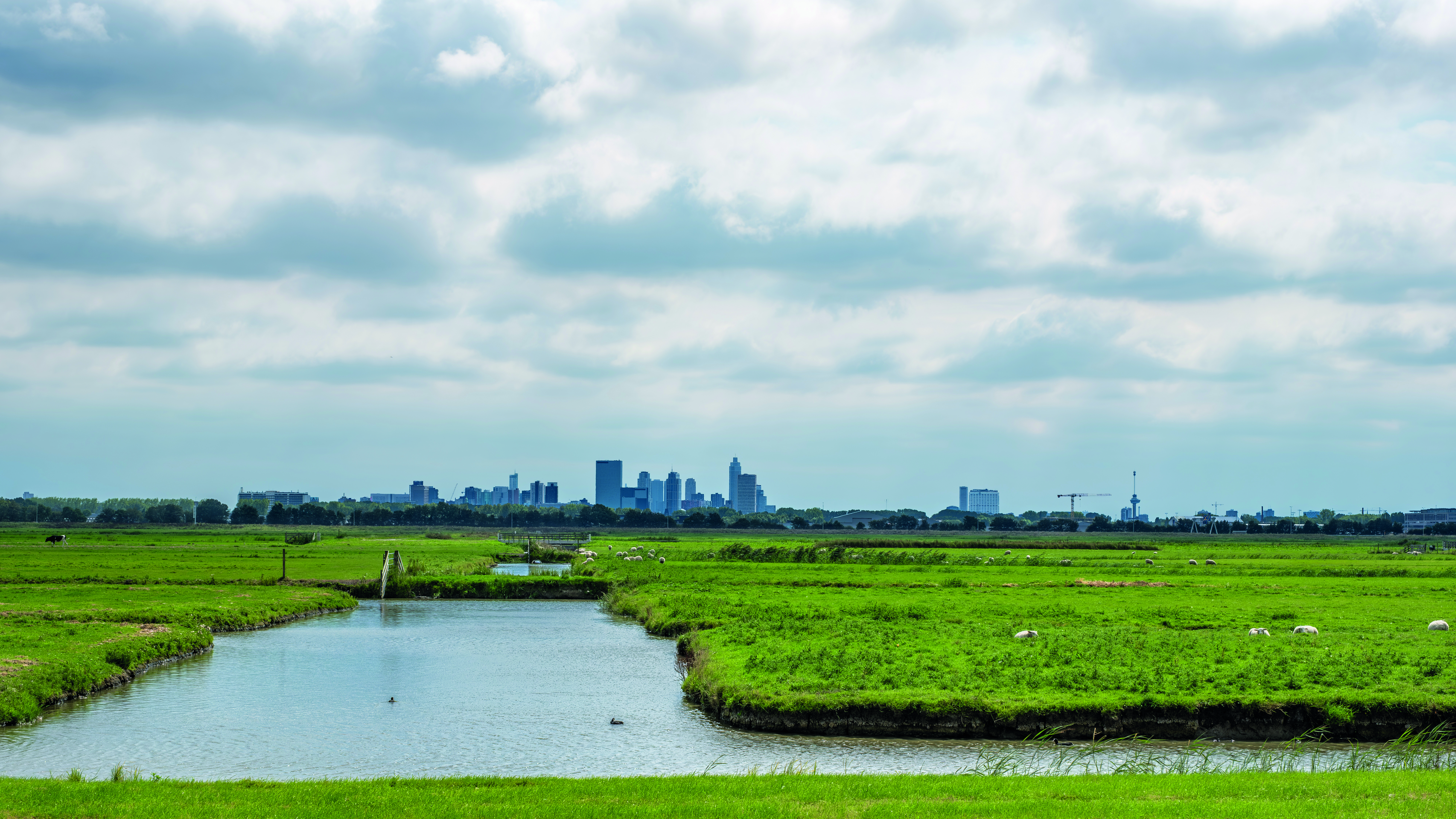 AdobeStock_636036695_CMYK