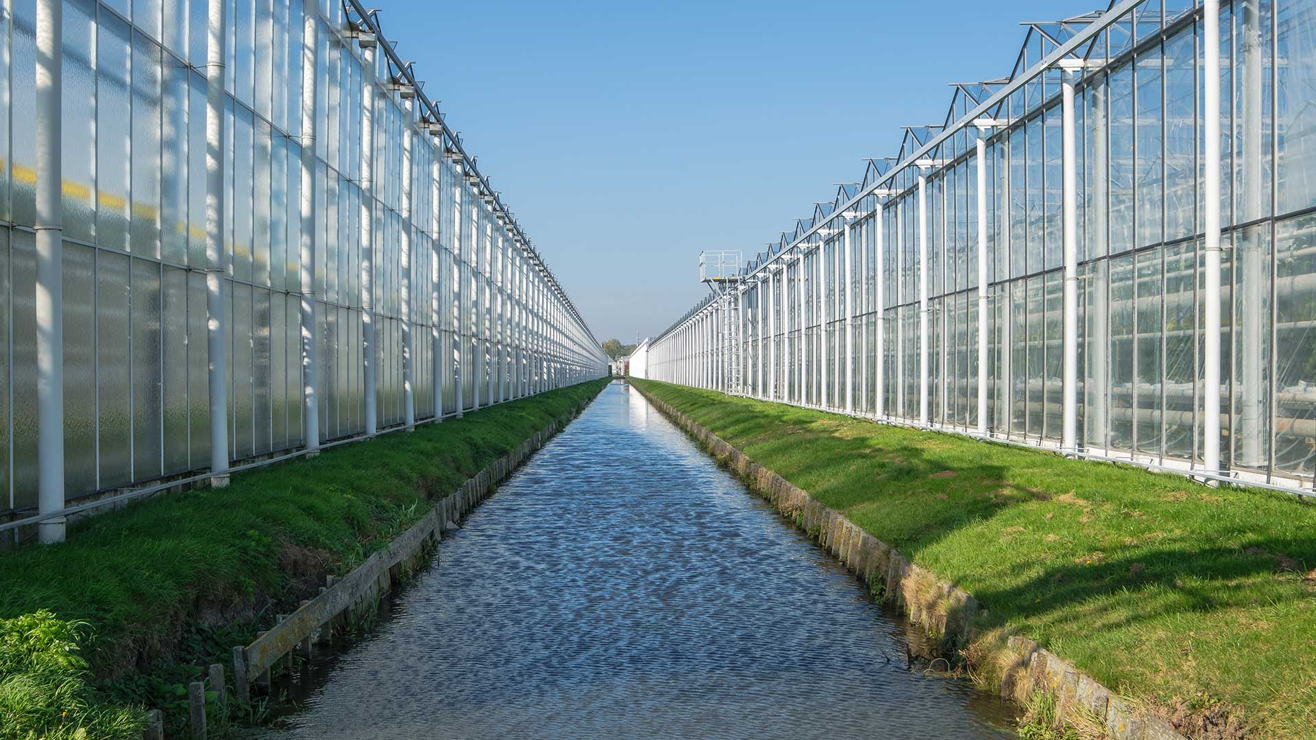 Tuinbouw-toekomst-perspectief