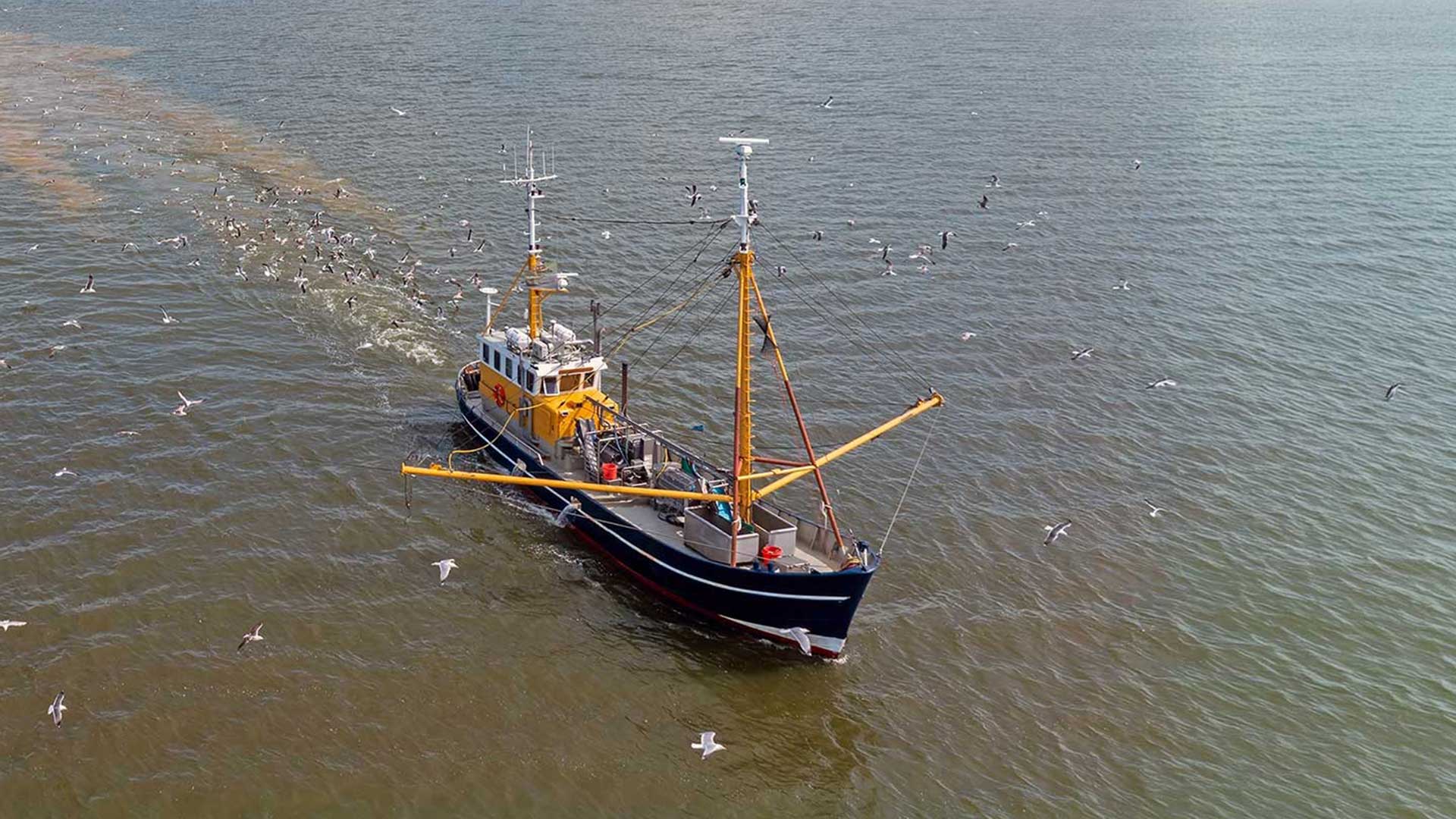 Wat-Flynth-voor-de-visserij-kan-betekenen-1